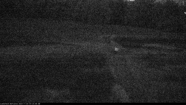 Cell 1 to 2_23-11-03_07-25-08-80