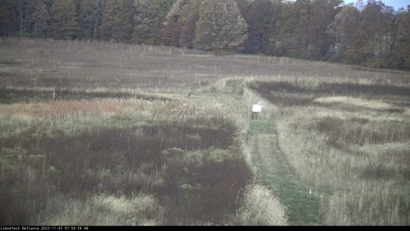 Cell 1 to 2_23-11-03_07-58-38-78