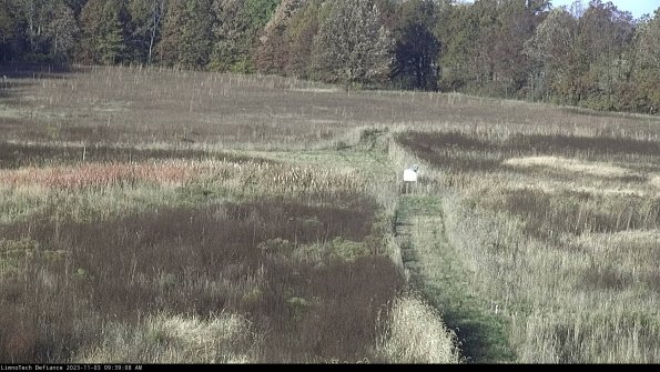 Cell 1 to 2_23-11-03_09-39-08-79