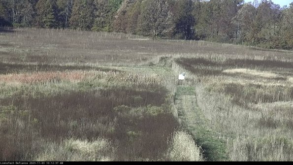 Cell 1 to 2_23-11-03_10-12-37-78