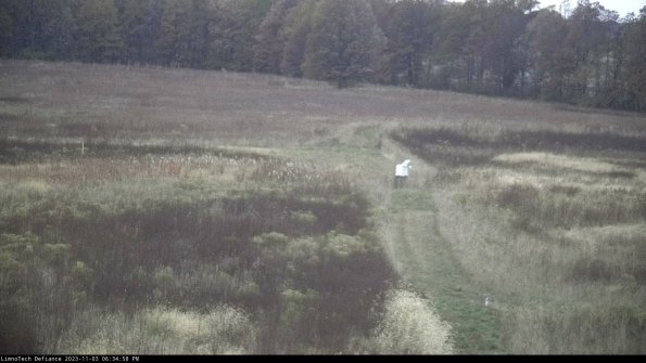 Cell 1 to 2_23-11-03_18-34-58-79