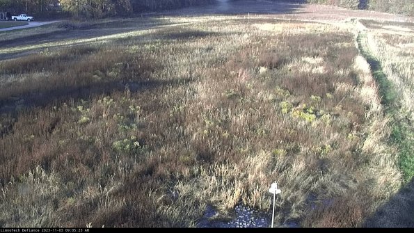 Cell 1_23-11-03_09-05-23-79