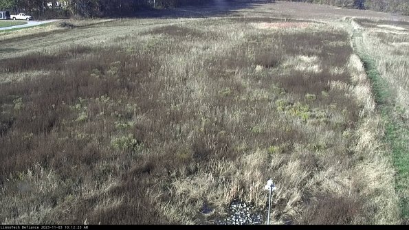 Cell 1_23-11-03_10-12-23-76