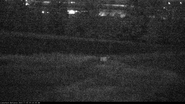 Cell 2 to 3_23-11-03_07-25-34-89