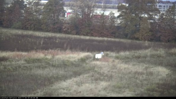 Cell 2 to 3_23-11-03_07-59-04-87