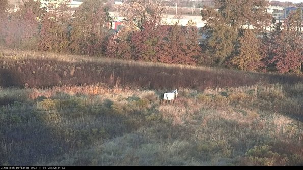 Cell 2 to 3_23-11-03_08-32-34-82