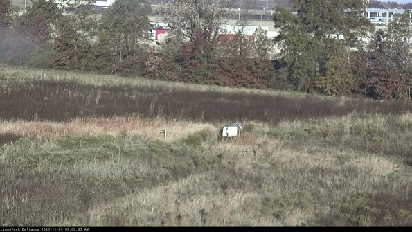 Cell 2 to 3_23-11-03_09-06-04-00