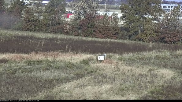 Cell 2 to 3_23-11-03_09-39-34-88