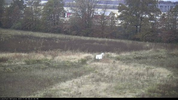 Cell 2 to 3_23-11-03_18-01-54-90