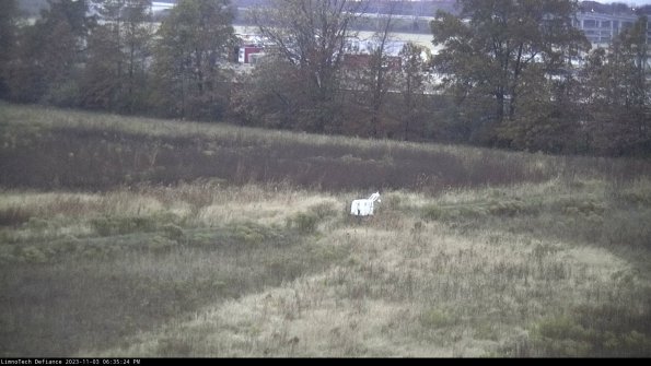 Cell 2 to 3_23-11-03_18-35-24-98