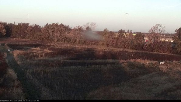 Cell 2_23-11-03_08-32-21-81