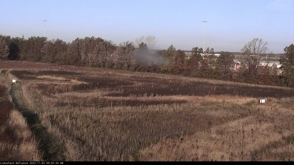 Cell 2_23-11-03_09-05-50-89