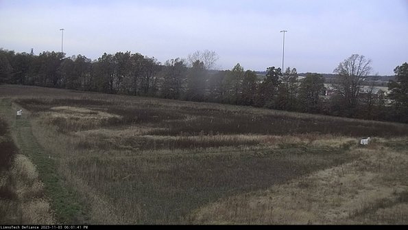 Cell 2_23-11-03_18-01-41-78