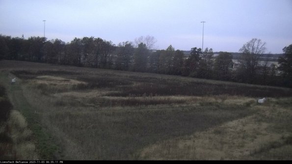 Cell 2_23-11-03_18-35-11-87