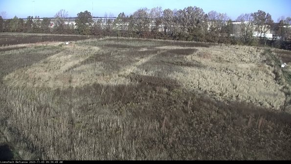 Cell 3_23-11-03_09-39-49-77