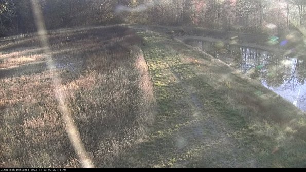 Cell 4 to Basin_23-11-03_09-07-16-81