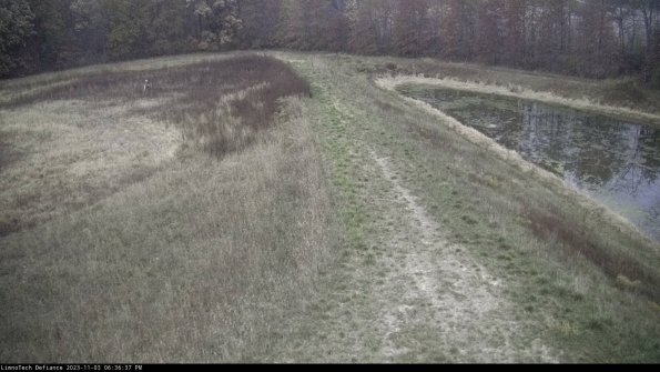 Cell 4 to Basin_23-11-03_18-36-37-79