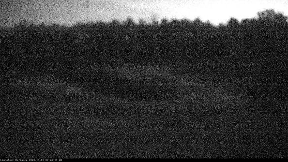 Cell 4_23-11-03_07-26-17-77