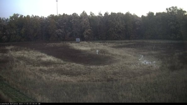 Cell 4_23-11-03_07-59-47-78