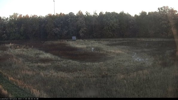 Cell 4_23-11-03_08-33-16-79