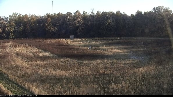 Cell 4_23-11-03_09-06-46-81