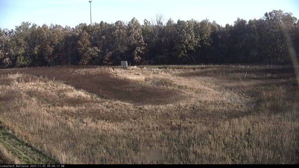 Cell 4_23-11-03_09-40-17-79