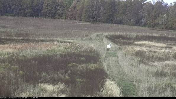 Cell 1 to 2_23-11-04_11-19-58-80