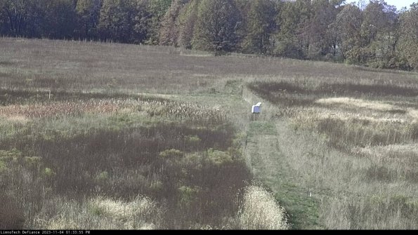 Cell 1 to 2_23-11-04_13-33-55-77