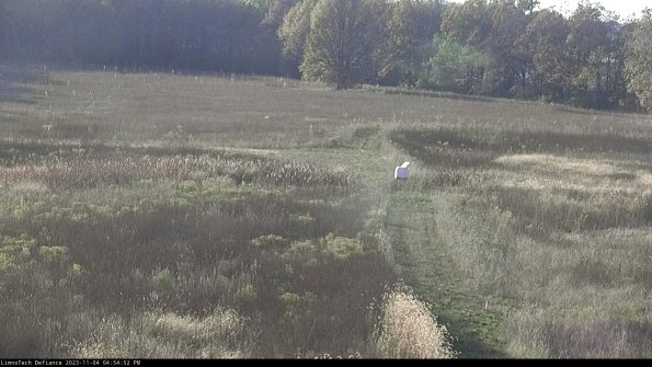 Cell 1 to 2_23-11-04_16-54-52-79