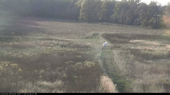 Cell 1 to 2_23-11-04_17-28-21-78