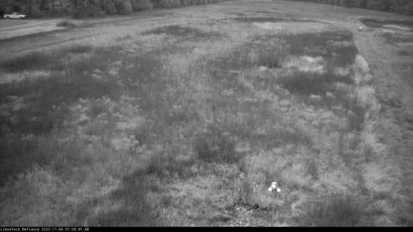 Cell 1_23-11-04_07-58-45-78