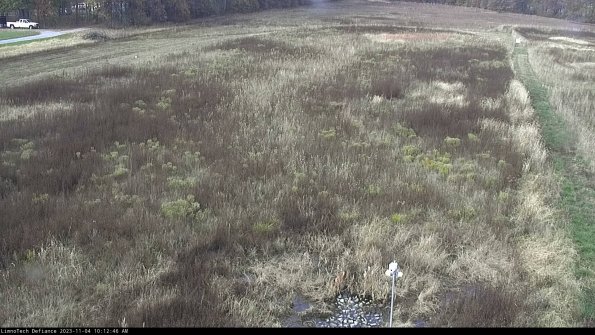 Cell 1_23-11-04_10-12-46-78