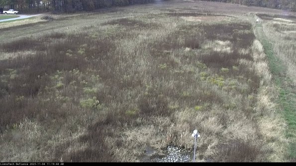 Cell 1_23-11-04_11-19-44-78