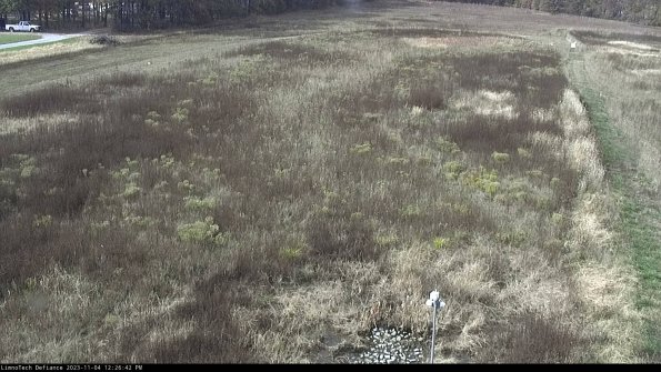 Cell 1_23-11-04_12-26-42-79