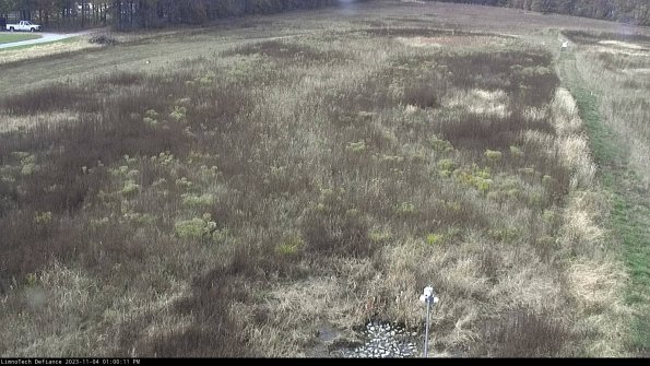 Cell 1_23-11-04_13-00-11-77