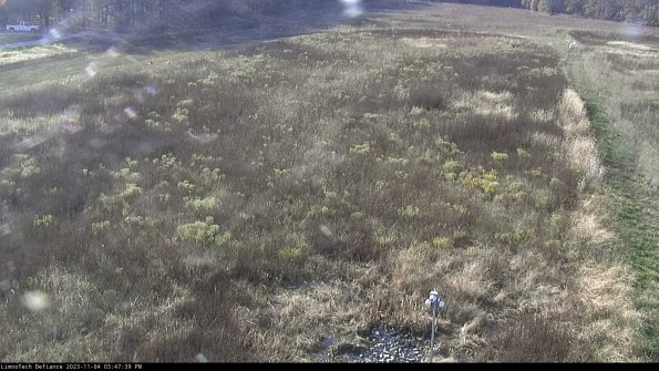 Cell 1_23-11-04_15-47-39-81