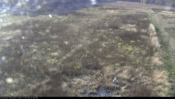 Cell 1_23-11-04_16-21-09-79