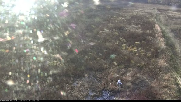 Cell 1_23-11-04_17-28-07-80