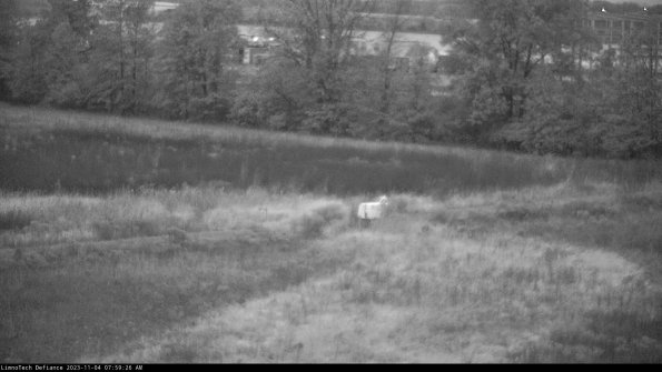 Cell 2 to 3_23-11-04_07-59-26-79