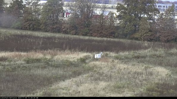 Cell 2 to 3_23-11-04_11-20-24-82