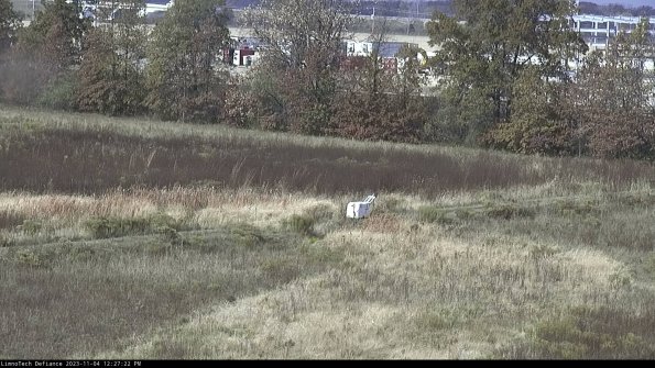 Cell 2 to 3_23-11-04_12-27-22-89