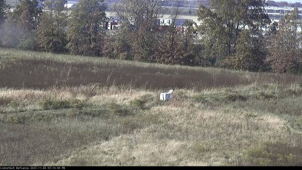 Cell 2 to 3_23-11-04_15-14-49-83