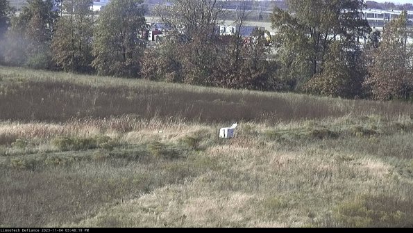 Cell 2 to 3_23-11-04_15-48-19-98