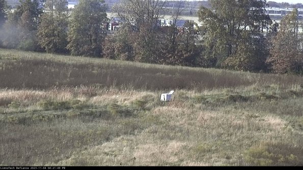 Cell 2 to 3_23-11-04_16-21-49-90