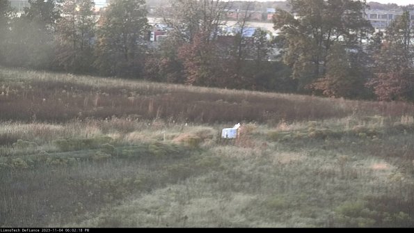 Cell 2 to 3_23-11-04_18-02-18-83