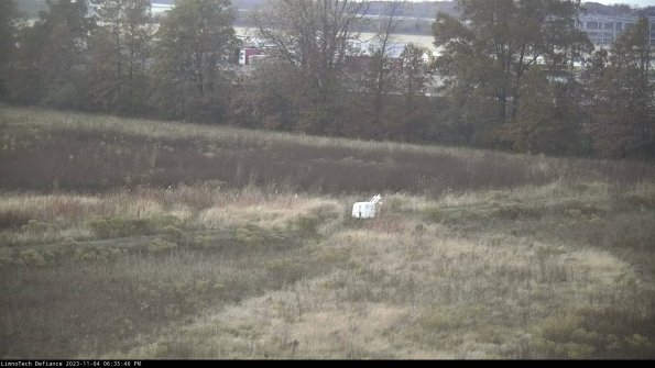 Cell 2 to 3_23-11-04_18-35-46-81