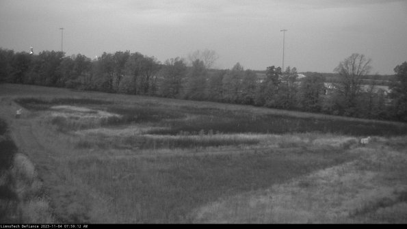 Cell 2_23-11-04_07-59-12-94