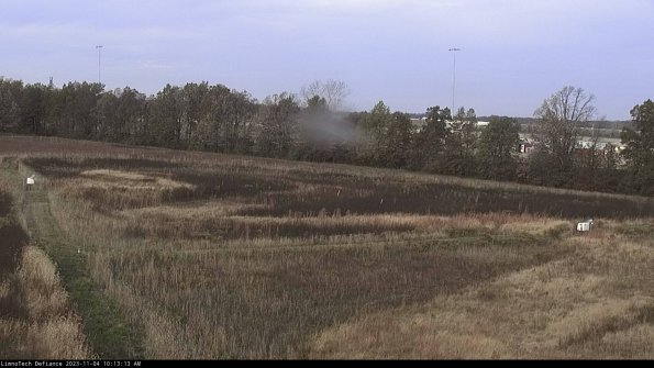 Cell 2_23-11-04_10-13-13-77