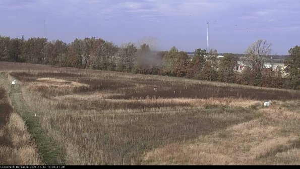 Cell 2_23-11-04_10-46-41-82