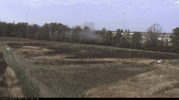 Cell 2_23-11-04_11-20-11-78